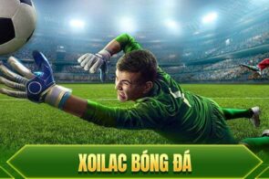 Xoilac TV – Xem bóng đá HD miễn phí không cần đăng nhập